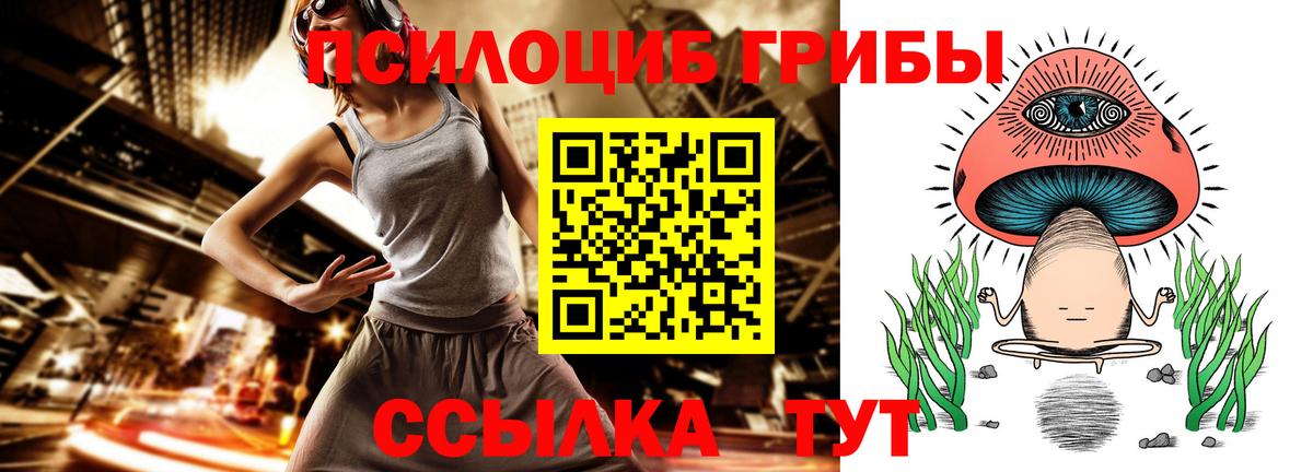 Галлюциногенные грибы Psilocybe Боровичи