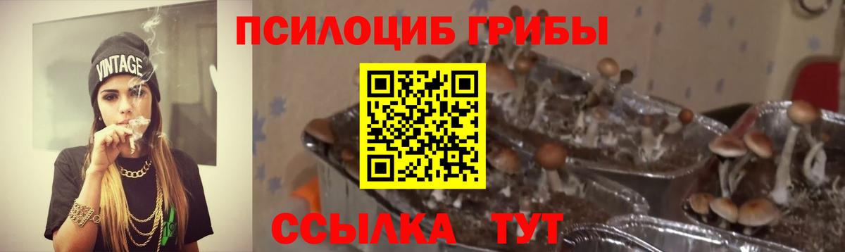 Галлюциногенные грибы MAGIC MUSHROOMS  Вход с VPN  Боровичи 